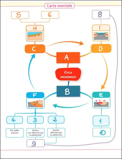 Complétez le schéma bilan : trouvez à quoi correspondent les lettres H et I.