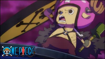 Quelle est la prime de Tony-Tony Chopper ?