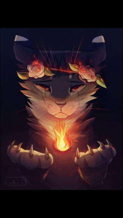 Quel est son nom de chaton ?