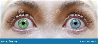 Je te repose la question. Quelle est la couleur de tes yeux ?