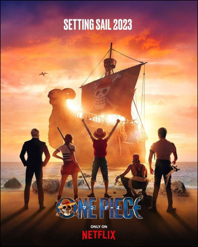As-tu regardé la série "One Piece" ?
