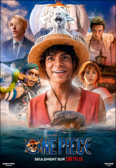 Si tu as regardé la série "One Piece", quel personnage ne peux-tu pas voir ?