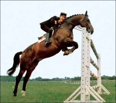 Le 'Cadre Noir', qui fait partie de l'Ecole Nationale d'Equitation se trouve non loin du chteau :