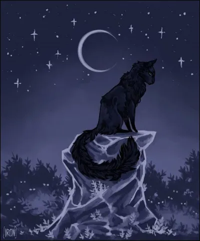 Quels chats sont les plus proches du Clan des Étoiles ?