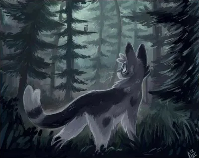 Quel est "l'opposé" du Clan des Étoiles ?