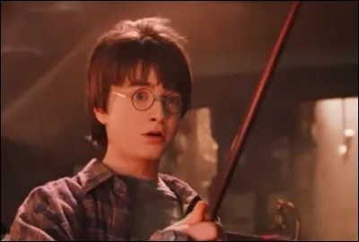 Il y a une organisation nommé "Le Cygne Noir" dans :