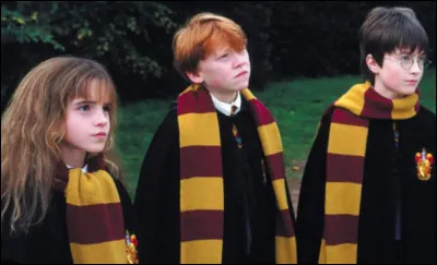 Le héros a un cousin insupportable.