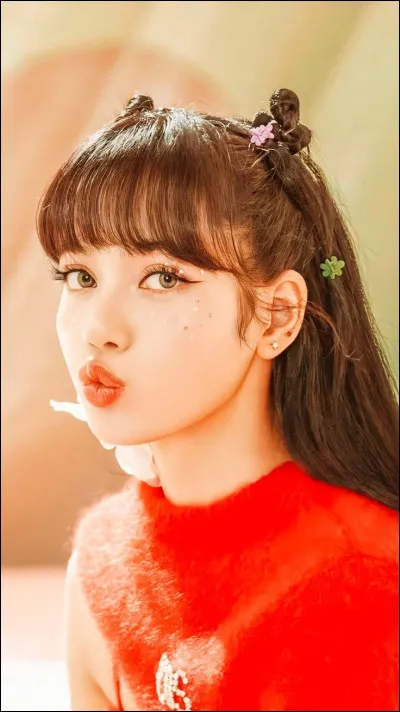 Quel était le nom de scène de Lisa avant qu'elle ne rejoigne Blackpink ?