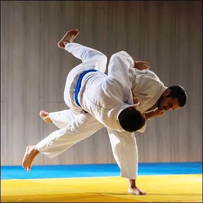 Quel est le premier judoka français à avoir remporté deux titres olympiques ?