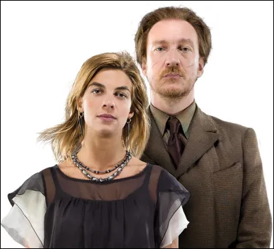 Tu es un sorcier parmi tant d'autres à la Bataille de Poudlard, et tu as le choix pour sauver un de ces deux personnages. Lequel sauves-tu ?