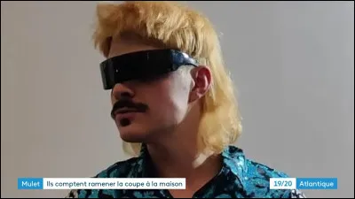 Quelle est ta couleur préférée ? #1