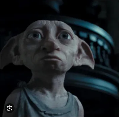 Comment s'appelle l'elfe de maison qui est venu dans la chambre de Harry au début du film, pour lui dire de ne pas retourner à Poudlard ?