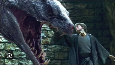 Comment un basilic naît-il ?
)