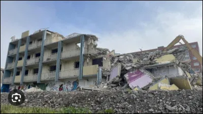 Comment Harry détruit-il le journal de Tom Jedusor ?