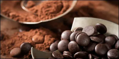 Sous quel nom &eacute;tait connu le chocolat avant d'arriver en Europe ?