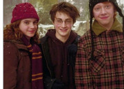 Quiz Trouve les personnages Harry Potter