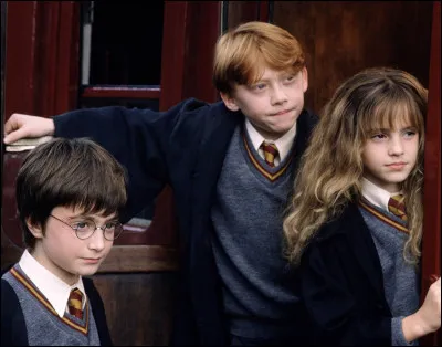 Qui sont Harry Potter, Hermione Granger ou encore Ronald Weasley ?