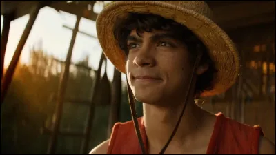 En quoi Luffy est-il différent des autres pirates ?