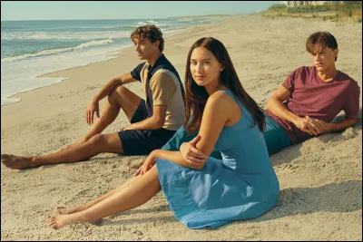 Sur quelle plateforme la série est-elle diffusée ?