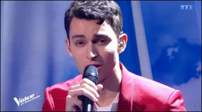 Quel est ce jeune slameur découvert dans "The Voice" dont une chanson s'intitule "En voilà une question !" ?