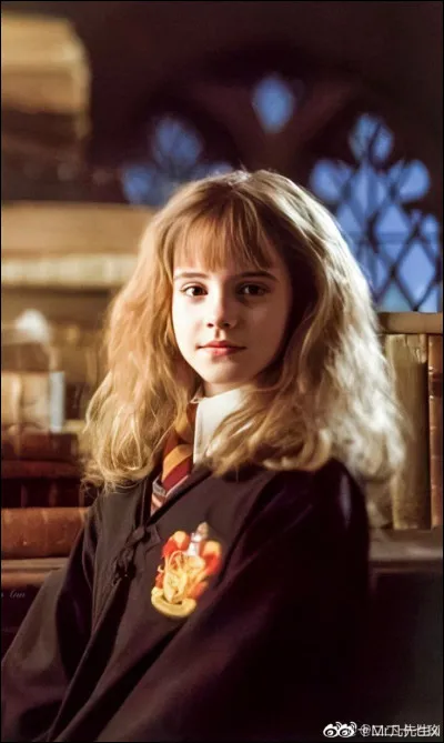 Quel est le nom complet d'Hermione Granger ?