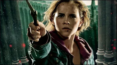 Quel animal est Pattenrond, l'animal d'Hermione ?