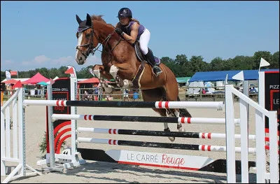 C'est le troisi&egrave;me jour de stage et tu fais du saut. Il y a quatre exercices propos&eacute;s, sur lequel vas-tu en premier ?