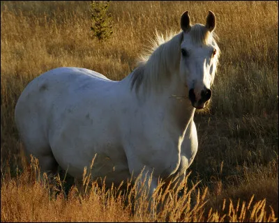 Quelle photo pr&eacute;f&egrave;res-tu ?