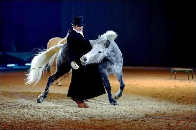 Que fais-tu (ferais-tu) en spectacle &eacute;questre ?