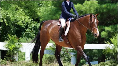 Si tu faisais une comp&eacute;tition, quelle discipline choisirais-tu ?