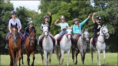 Tu es &agrave; un stage d'&eacute;quitation, on te laisse le choix entre quatre disciplines, laquelle choisis-tu ?