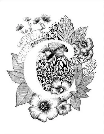 C'est un département de la région Auvergne-Rhône-Alpes dont le numéro est 15. C'est le...