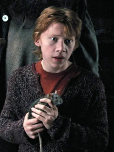 Quel est l'animal de Ron Weasley ?