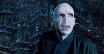 Quel est le vrai nom de Lord Voldemort ?