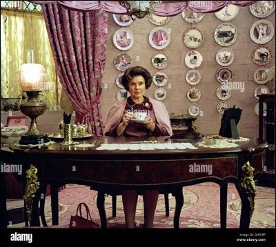 Qui est ton professeur de défense contres les forces du mal préféré ? (2)