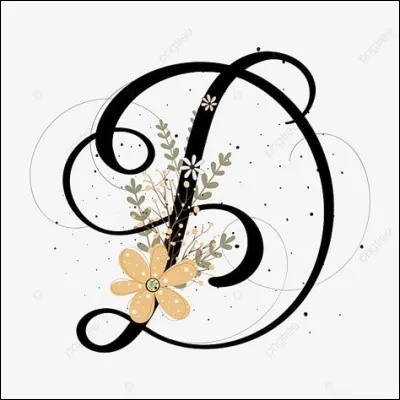 Elle peut être contemporaine, classique, etc. Bref, c'est de la :