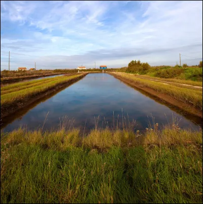 "Sous les toits de Paris", le film de 1930 a été réalisé par...