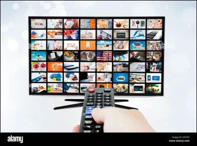 Pour quelle publicité télévisée entend-on ces paroles de chanson : "Ô la belle vie, sans amours, sans soucis, sans problèmes" ?