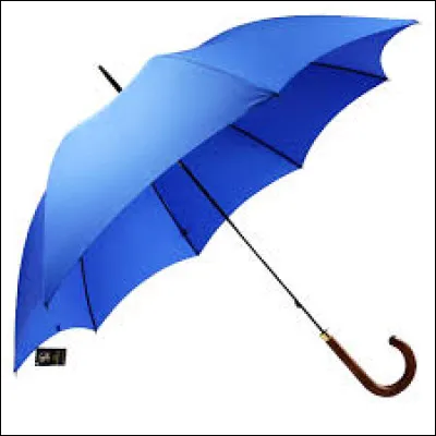 Quelle est la capitale du parapluie en France ?