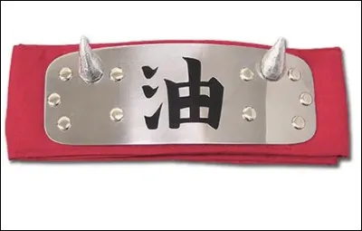 Par qui est porté ce bandeau ?