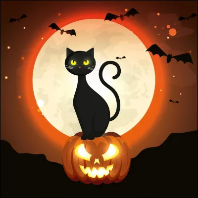 Emblématique de cette fête, à qui appartient le chat noir ?