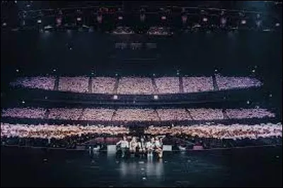 Comment se nomme leur fandom ?