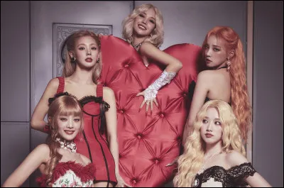 Quel est leur lightstick ?