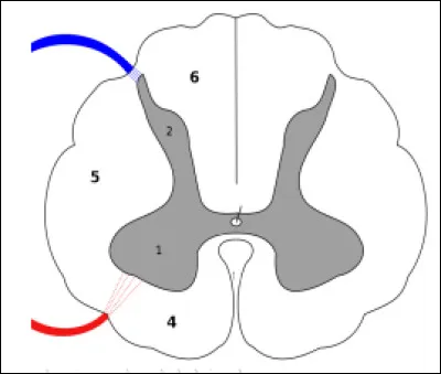 Que désigne l'élément 6 ?