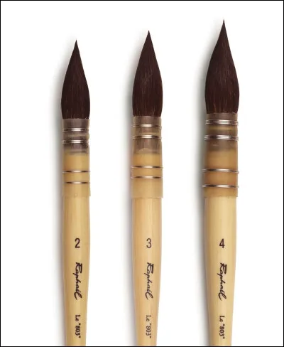 Ce sont des pinceaux :