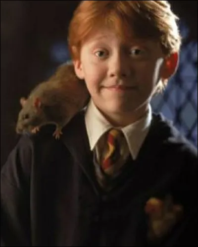 Comment s'appelle son rat ?
