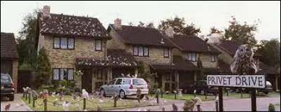 Qui dépose Harry devant la maison moldue ?