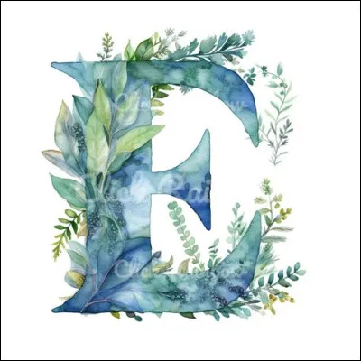 Un Français va en Espagne. Que peuvent dire les Espagnols de lui ?