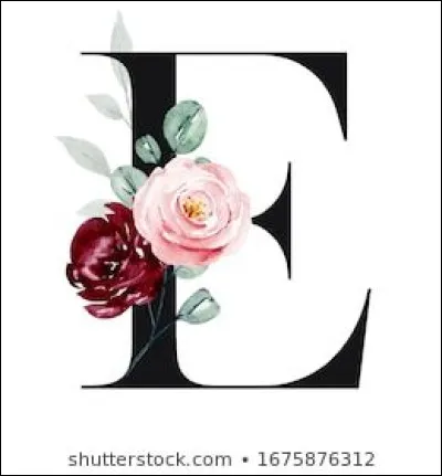 Comment peut-on qualifier un centre où l'on peut monter à cheval ?