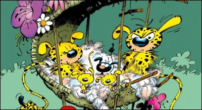 Dans quel pays vit le marsupilami ?